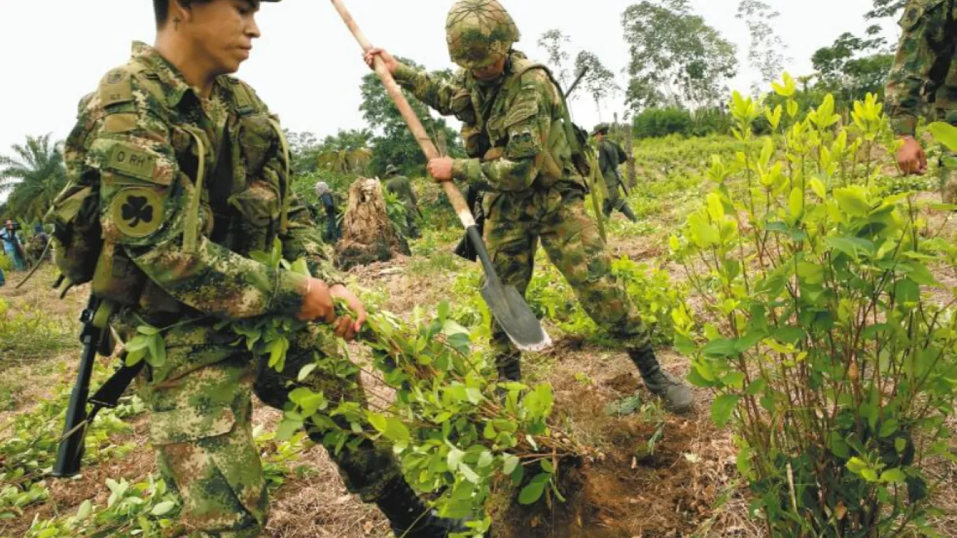 Erradicación de cultivos ilícitos en el Guaviare