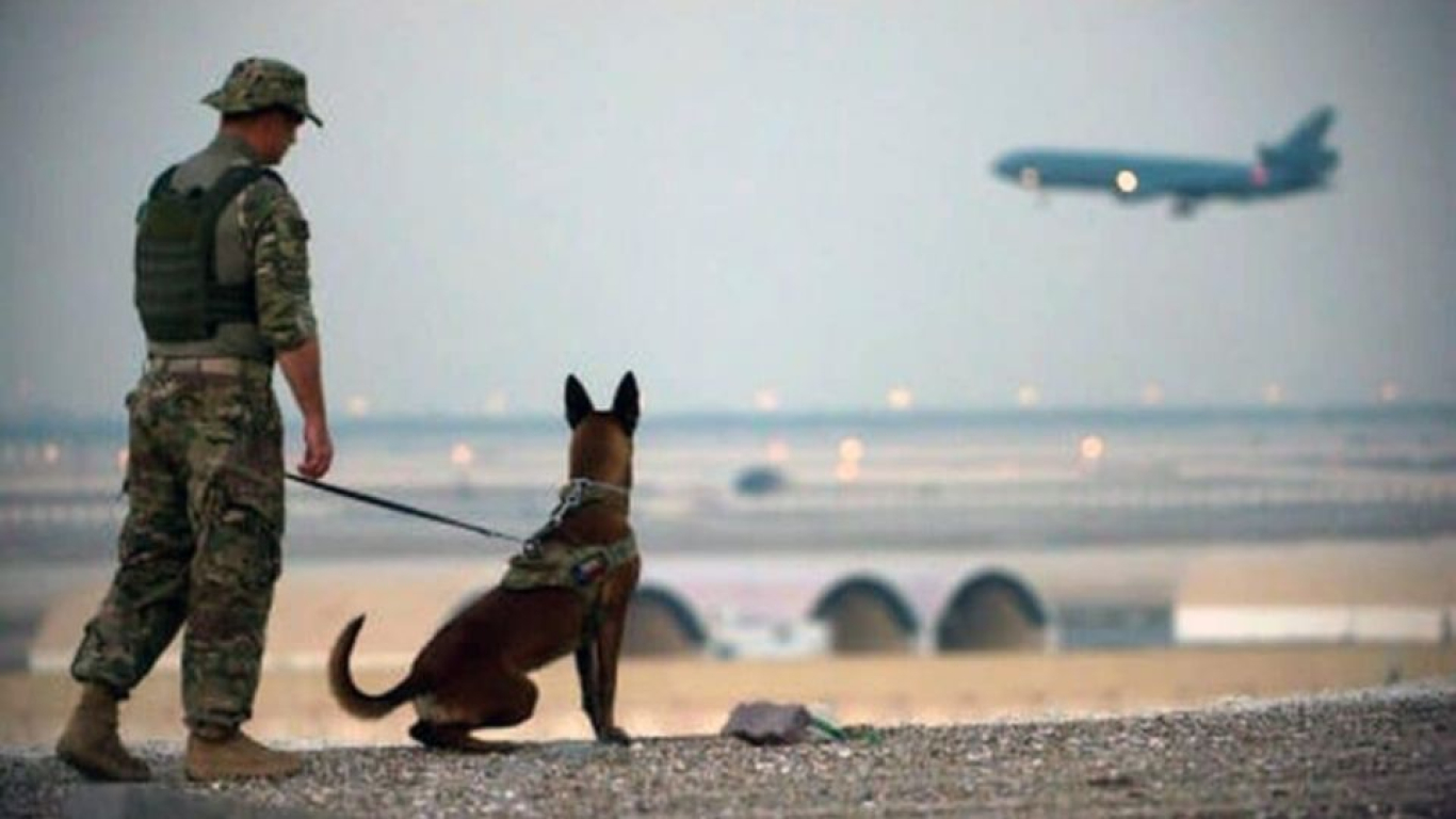 Grupo de defensa de los derechos de los animales ataca al gobierno Biden por abandono