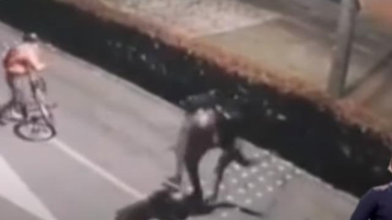 Imagen de cámaras de seguridad de asesinato por hurto