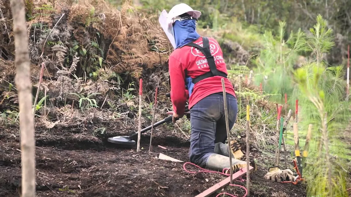 Actividades de desminado humanitario en Colombia