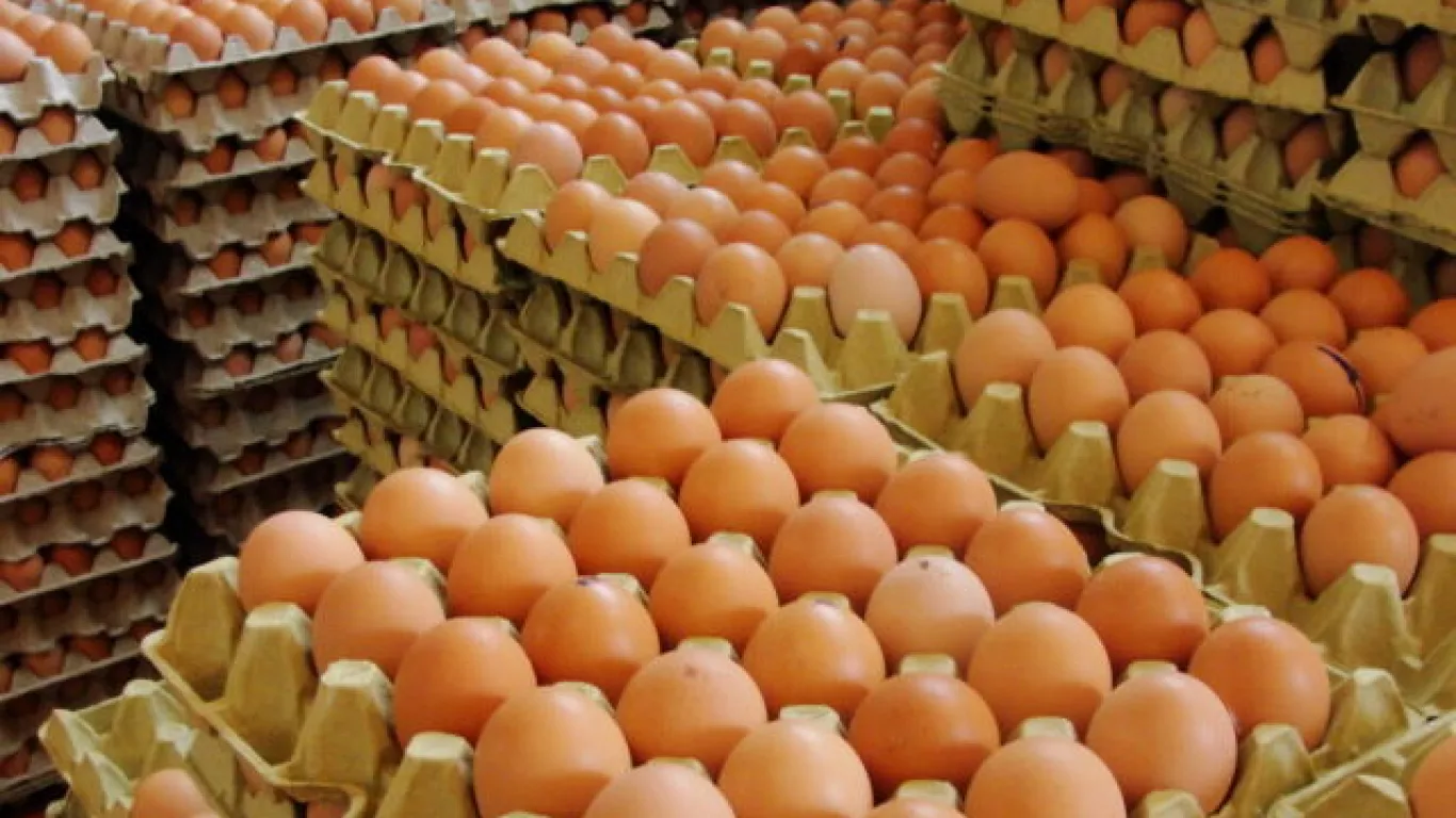 Se presume un alza en el precio de los huevos por aumento en costos de producción