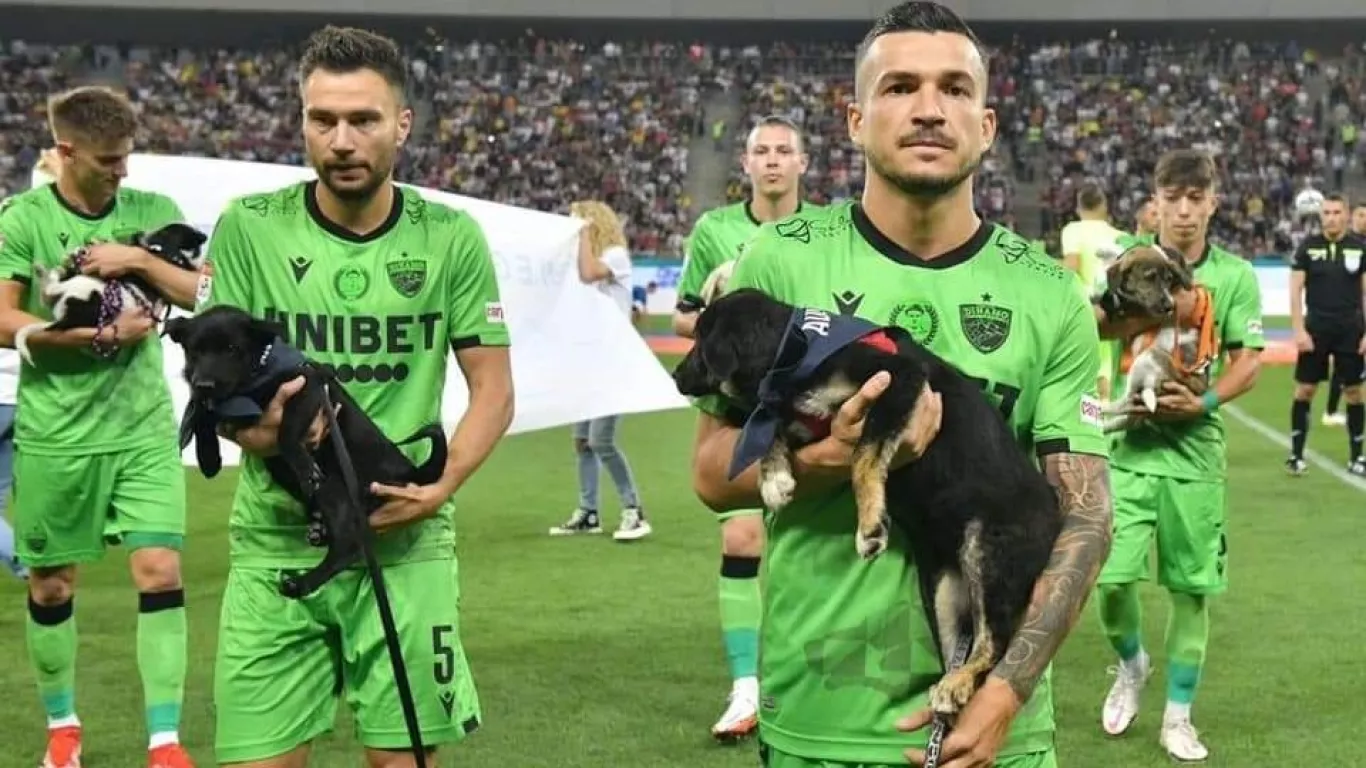 Futbolistas promoviendo la adopción de perros en Rumanía