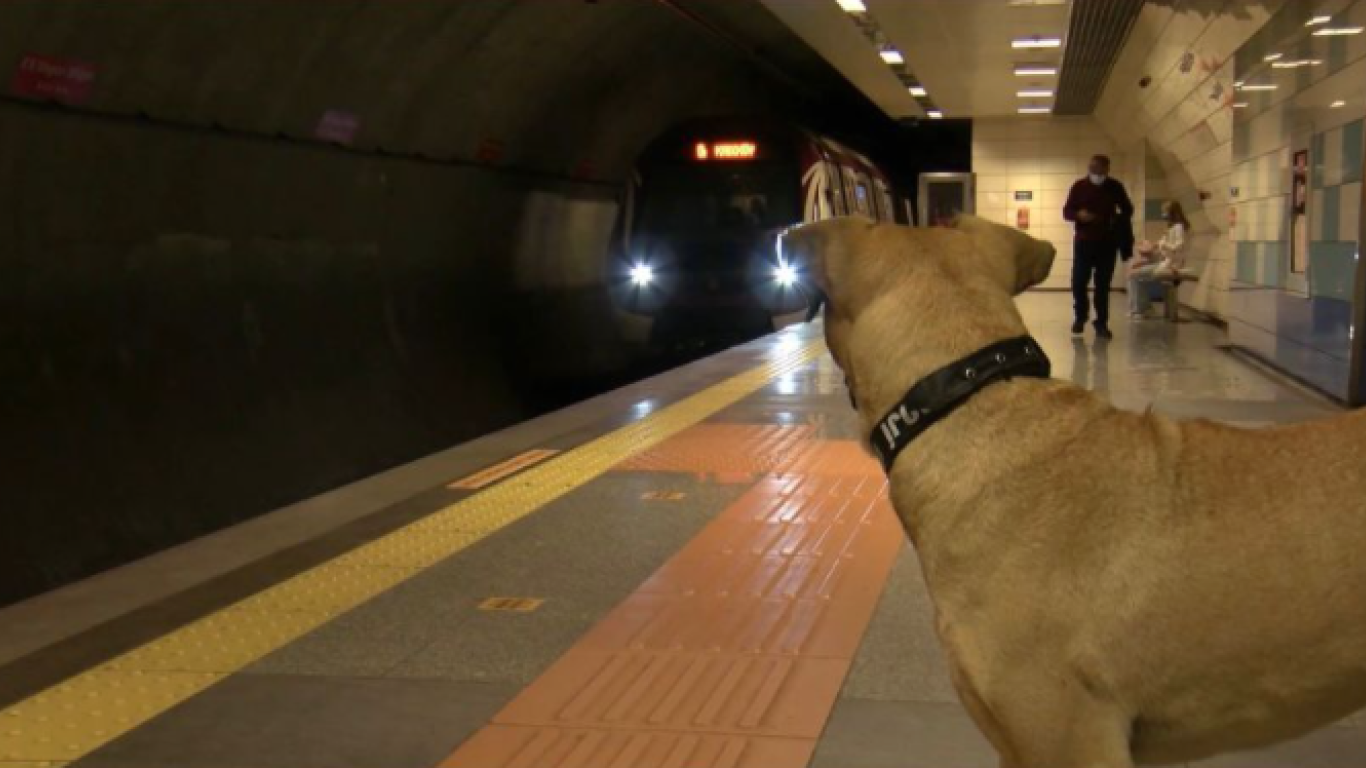 Boji en estación de metro