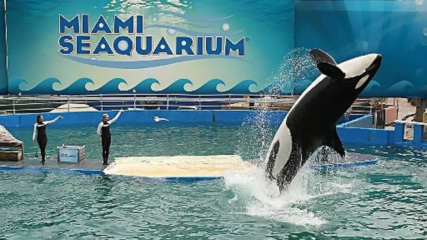 Miami Seaquarium