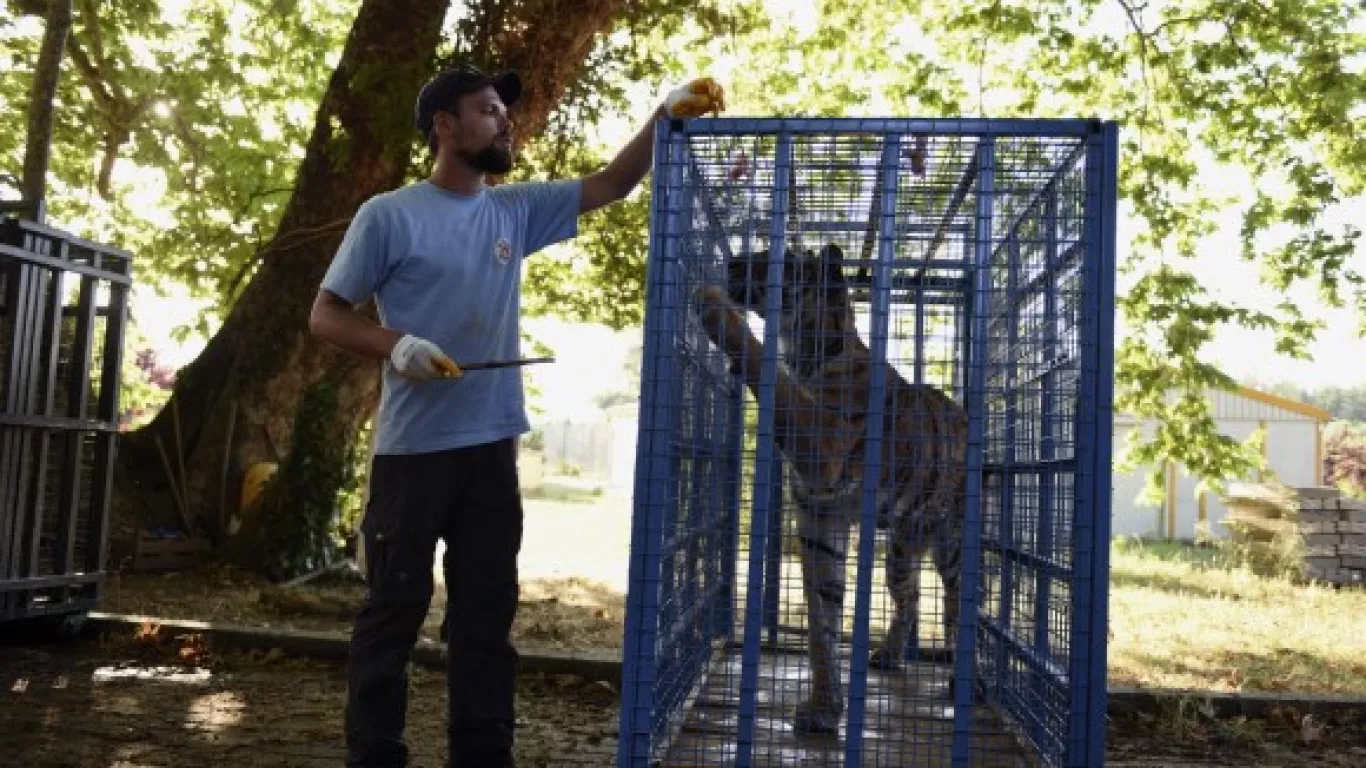 Zoológico de Kiev: Más de cuatro mil animales están sedados y en refugios subterráneos