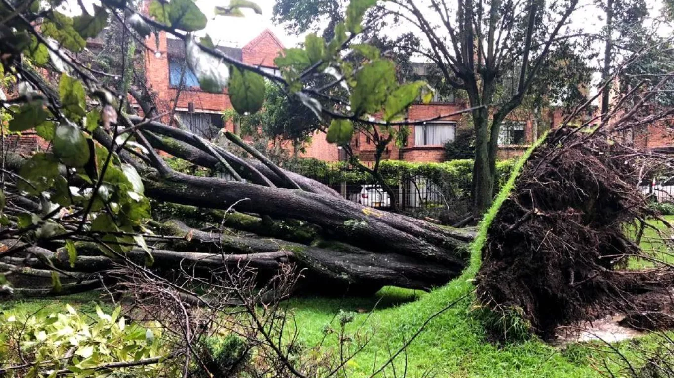 Arboles caídos bogota