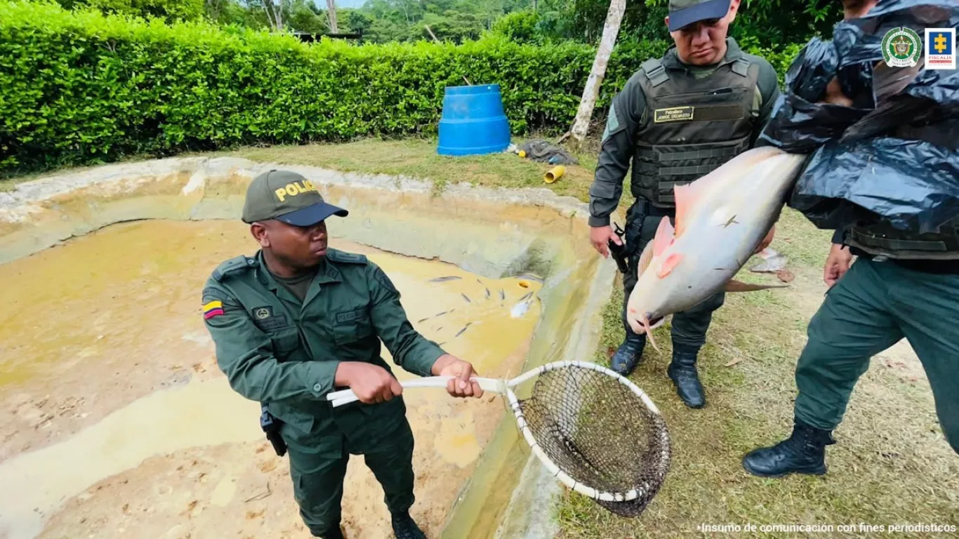 Judicializan responsables de criaderos de pez ilegal en Colombia 