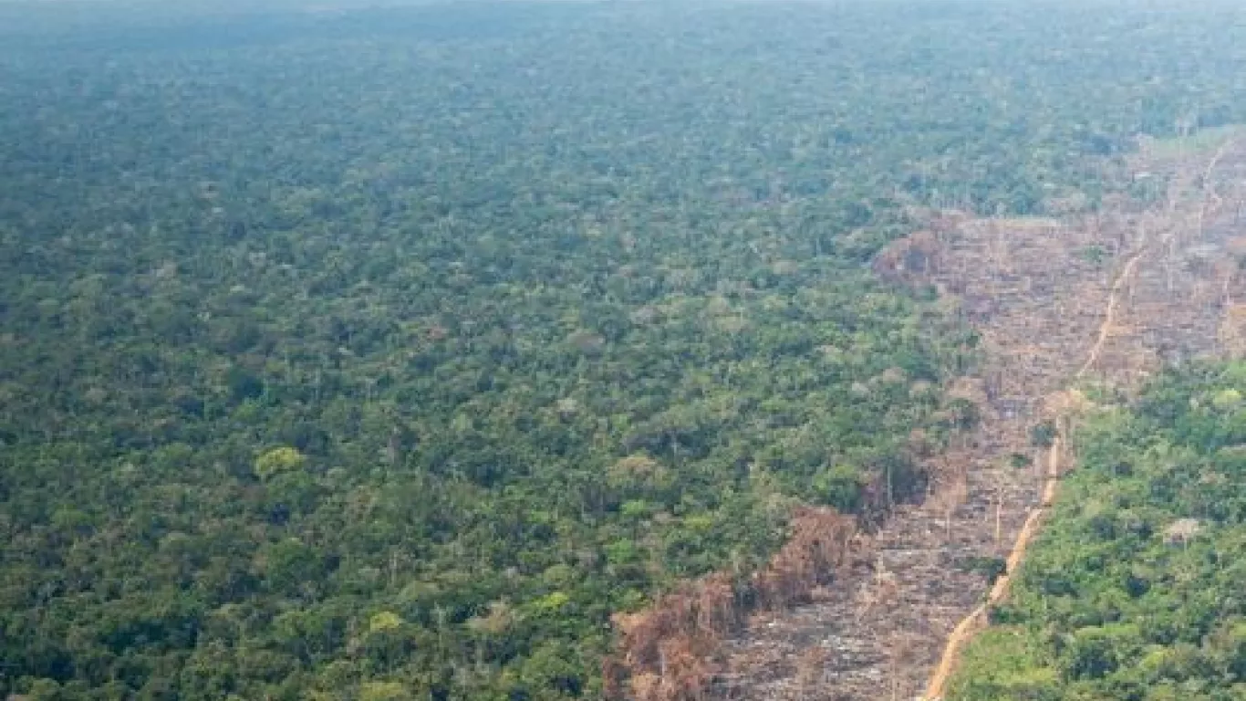 Selva Chibiriquete