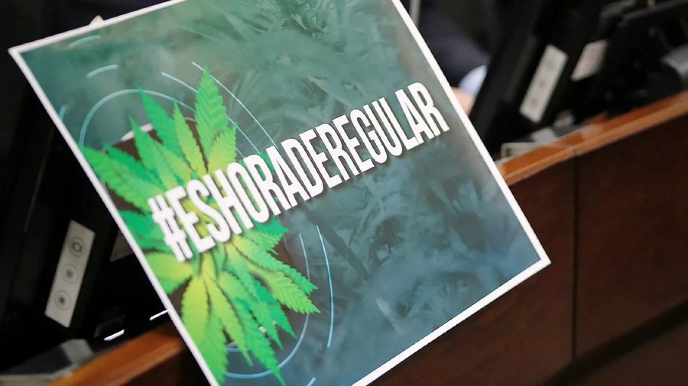 Regulación cannabis senado