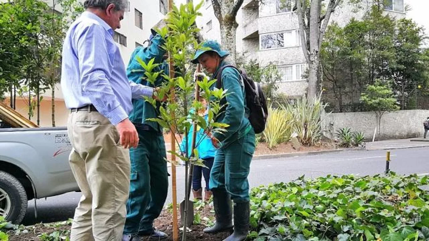 Plantaciónbog