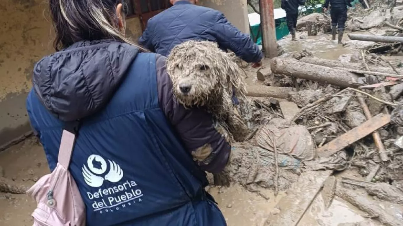 Defensoría Quetame