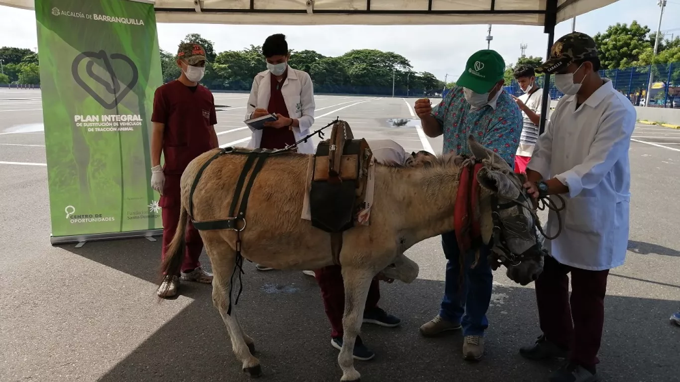 Proyecto de sustitución de vehículos de tracción animal en Barranquilla