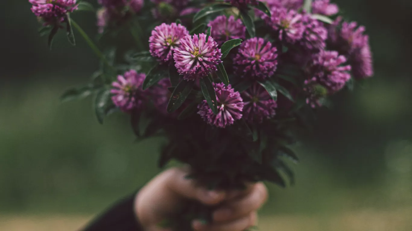 RAMO FLORES MORADAS