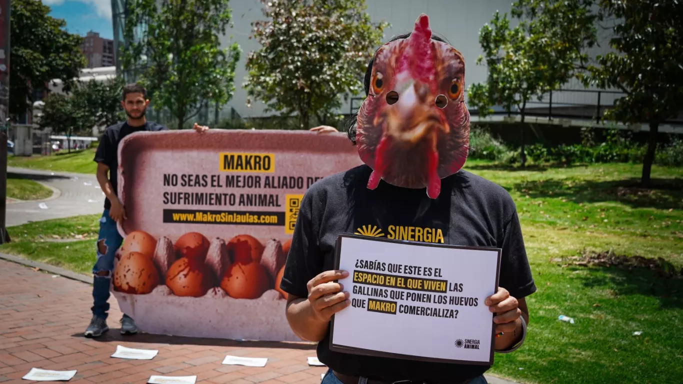 protesta gallinas