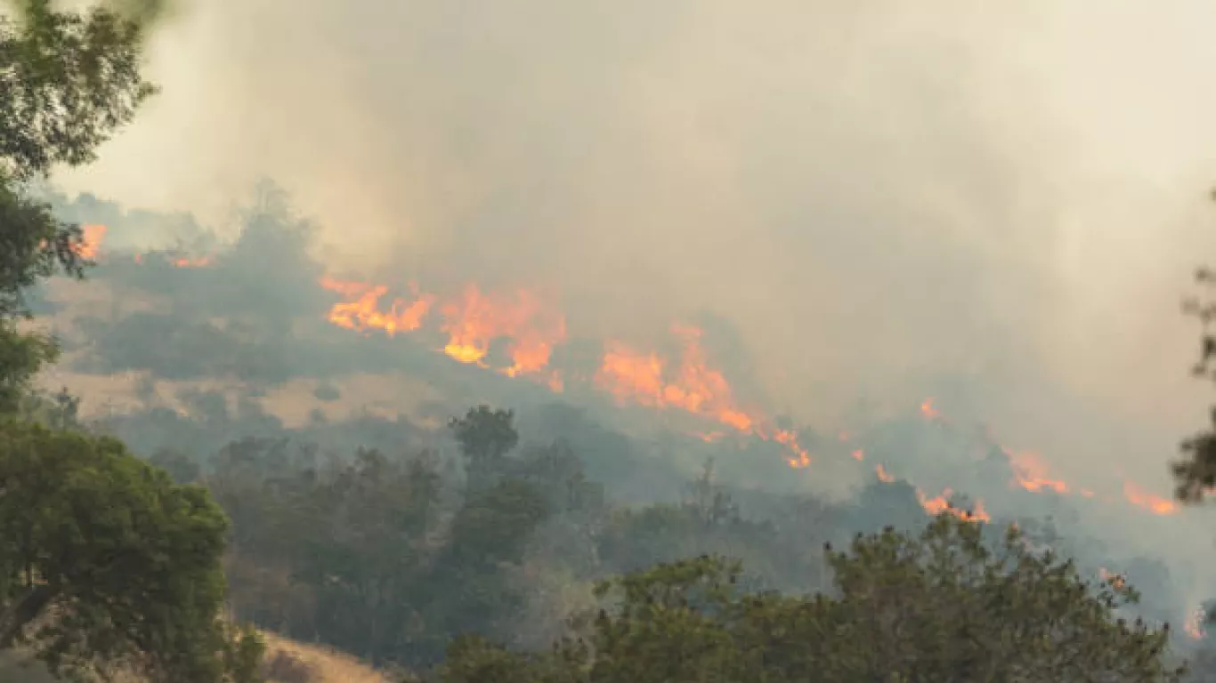 INCENDIO FORESTAL COLOMBIA