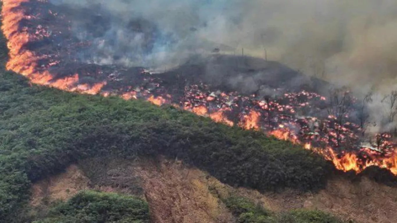 Incendios Cartagena 23