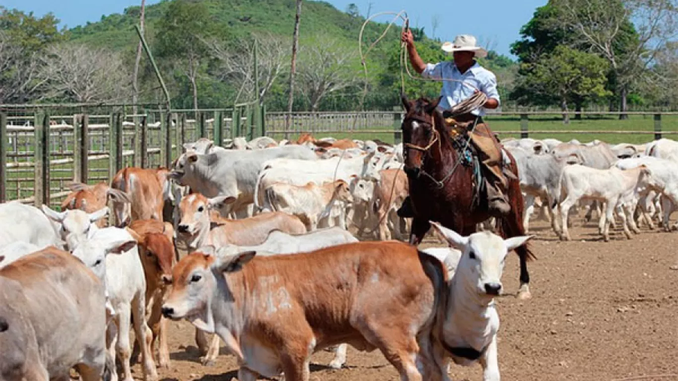 GANADEROS