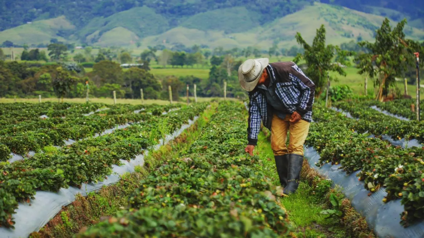 TIERRAS EN COLOMBIA