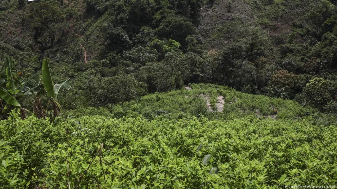 ANTINARCÓTICOS COLOMBIA