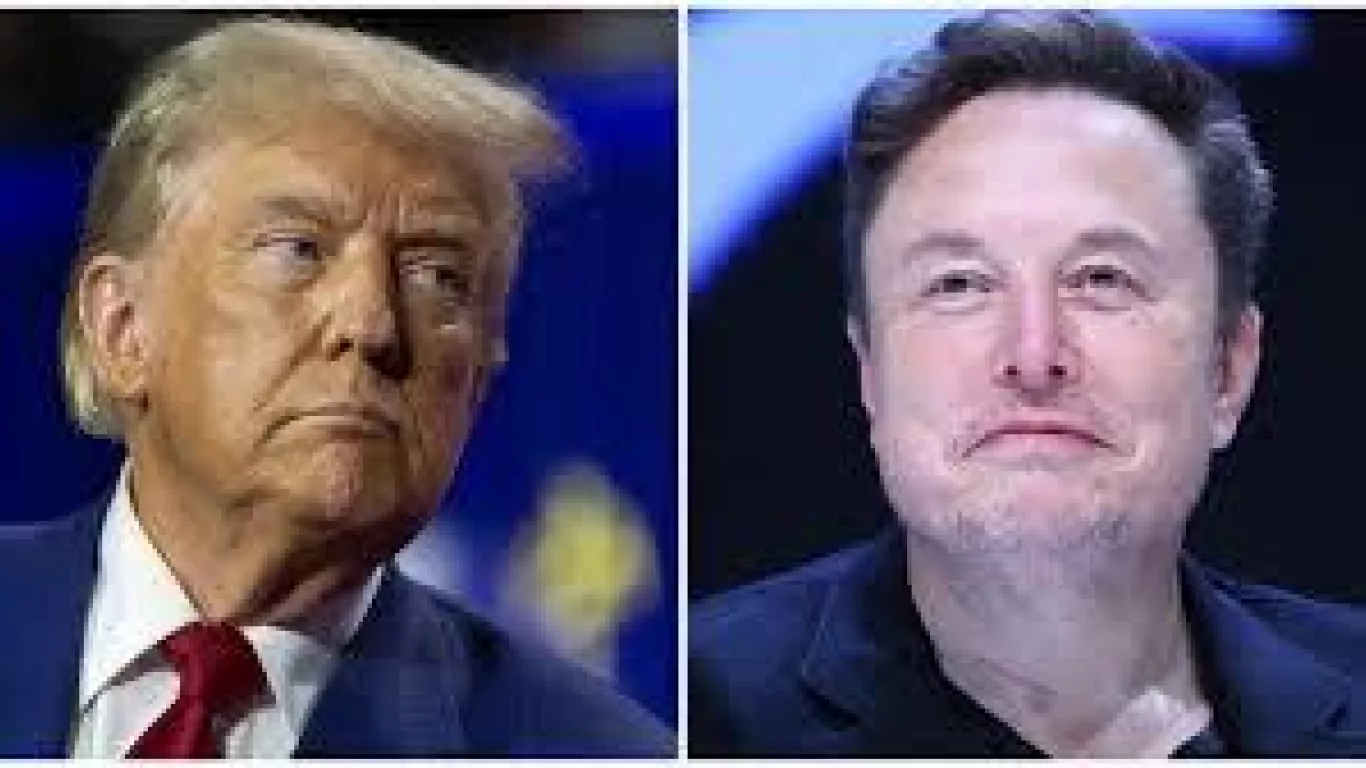 donald trump elon musk