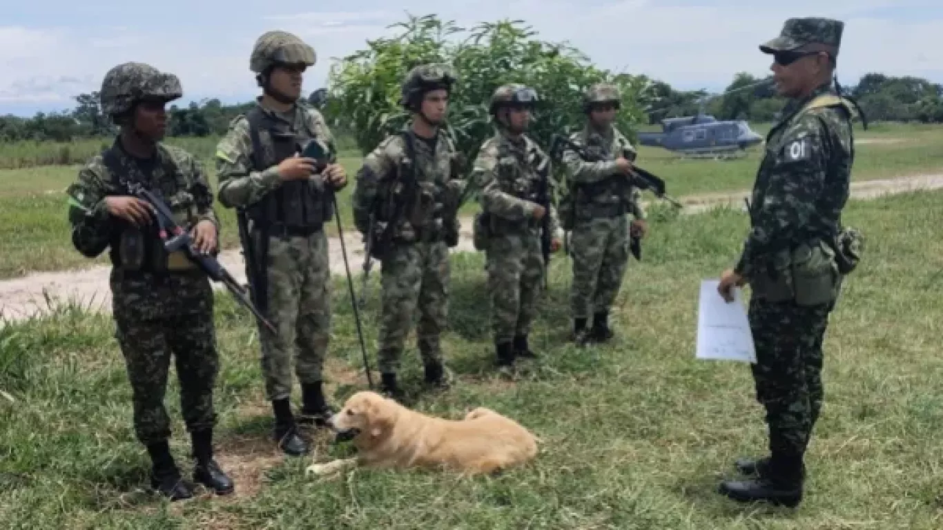 soldados heridos y perrita muerta
