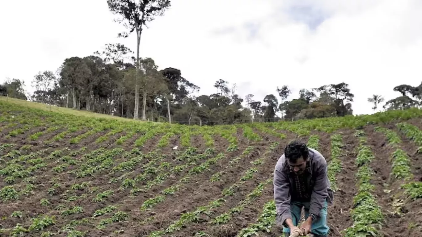 Zonas de Reserva Campesina