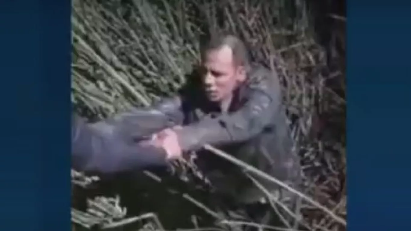 ladron capturado persecusión