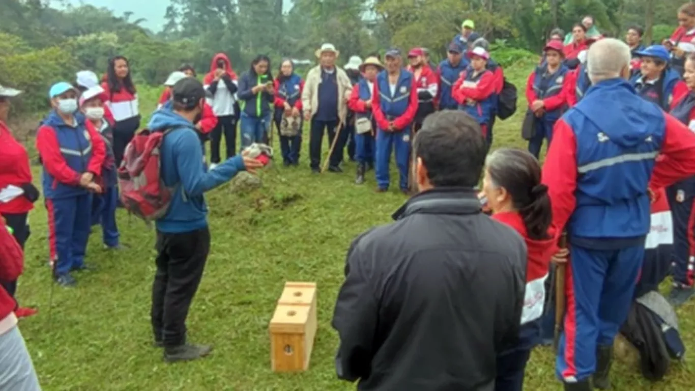 abejas con la conservacion
