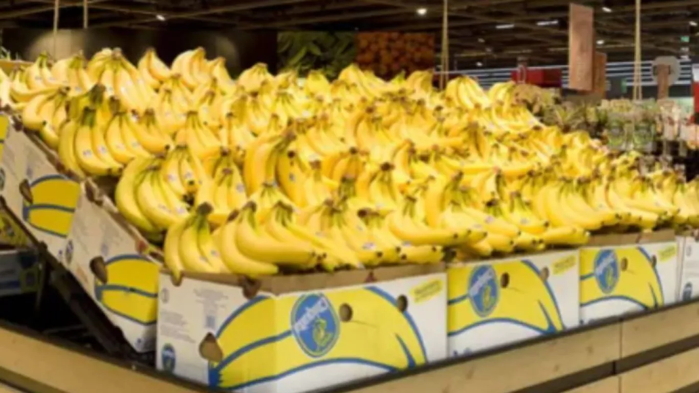 Chiquita Brand condena
