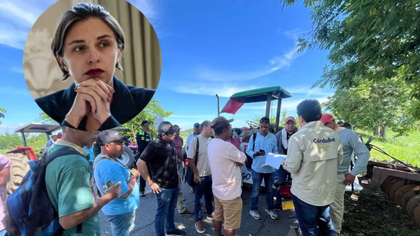 Montaje paro arrocero