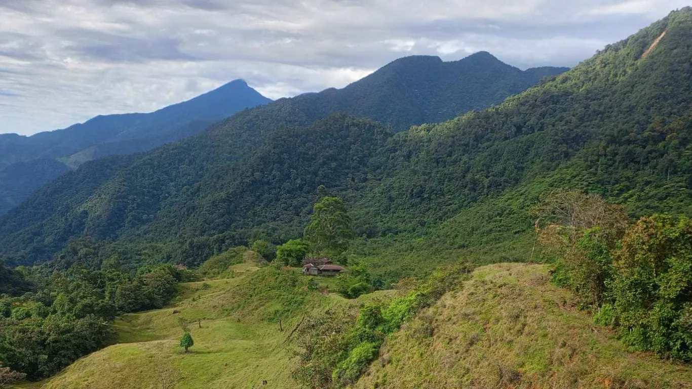 Unidad de Restitución de Tierras