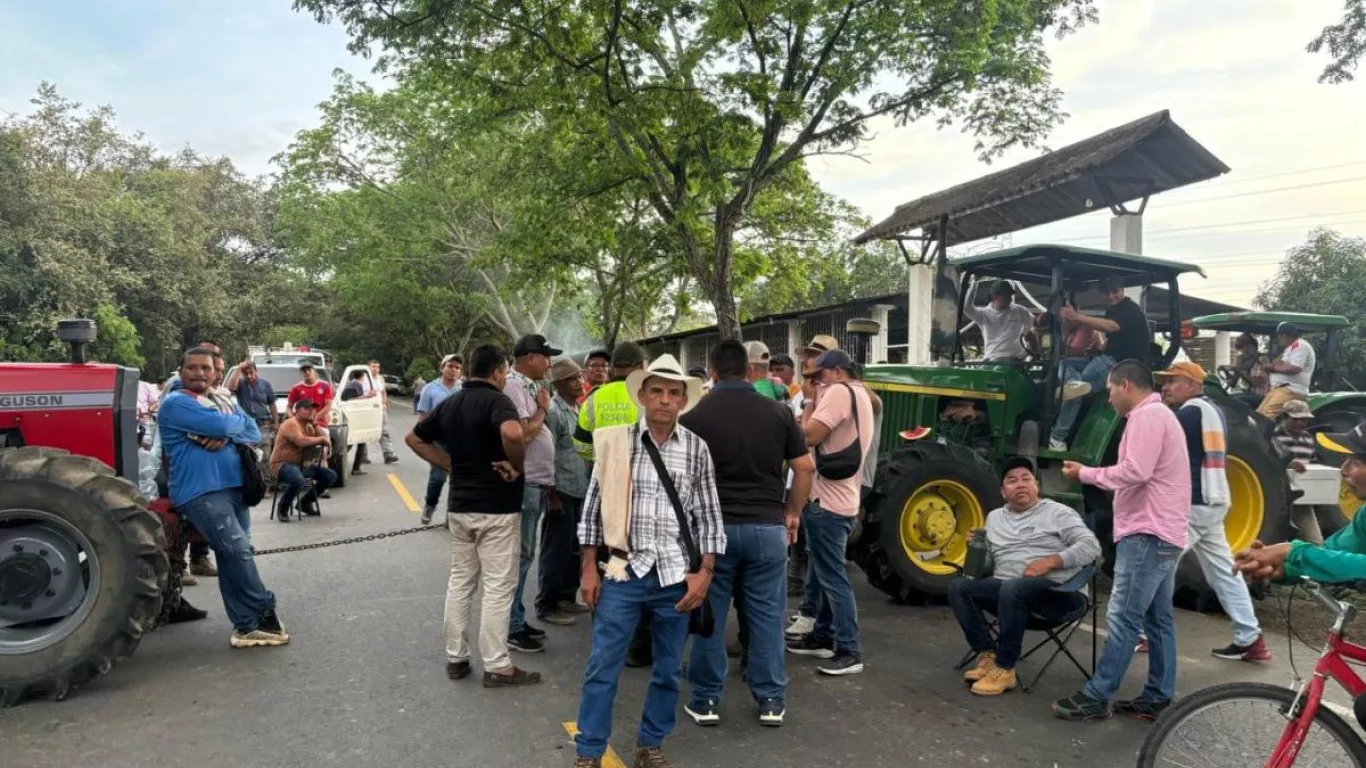 paro-arrocero-perdidas