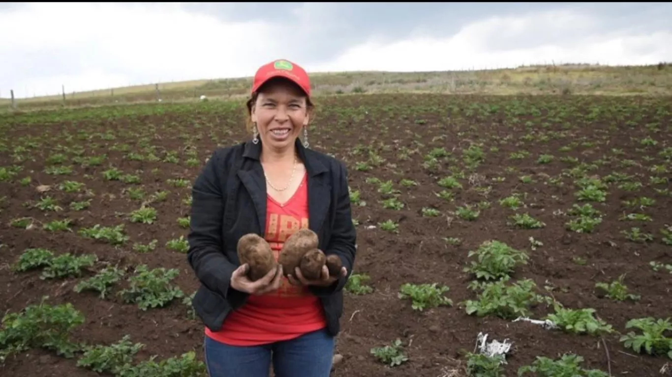 Banco Agrario de Colombia recibe premio del Pacto Global 