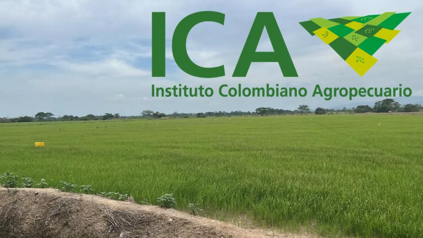 ICA Colombia
