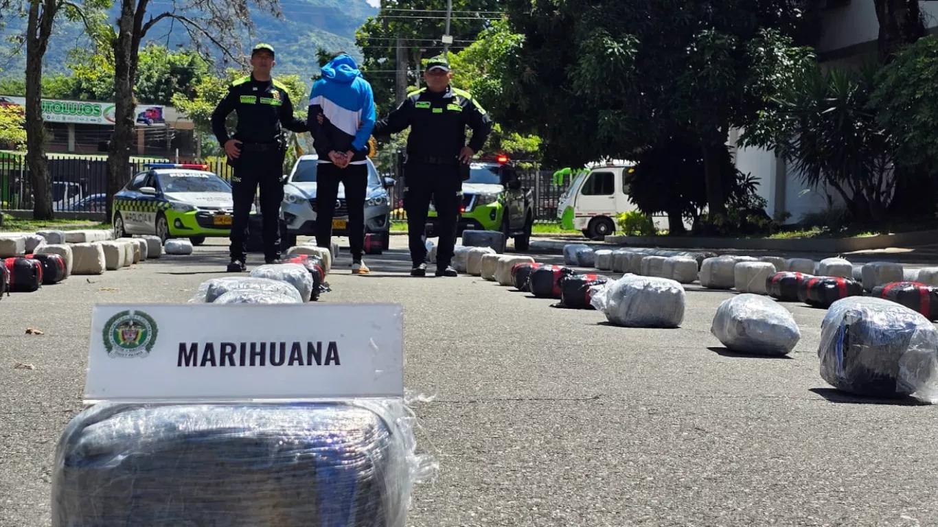 Marihuana Cajamarca