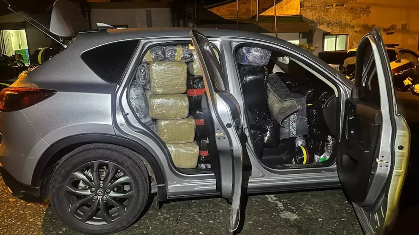 Incautación de marihuana