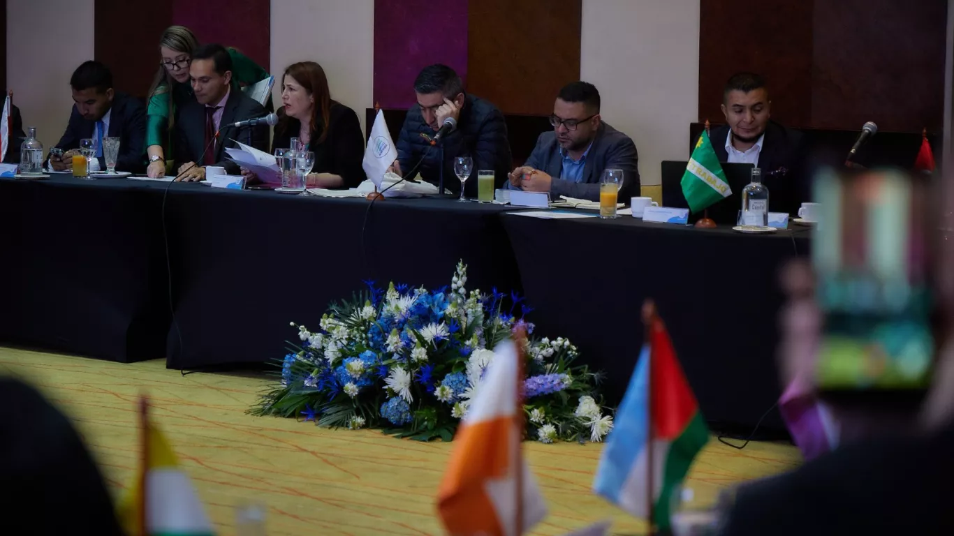 Marín Asointermedias