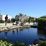 Universidad del Atlántico